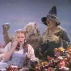 1939 Wizard of Oz poppy scene with asbestos snow
